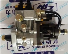 云内原厂高压油泵 YN38CR-110002 HA10000305  重庆燃油喷射系统 HA10009302 YN4E-110164
