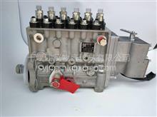 东风康明斯发动机天龙L机发电机组高压油泵C5258154