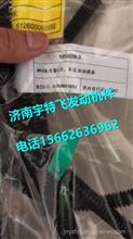 Weichai WP10 engine sensor harness612600080852612600080852