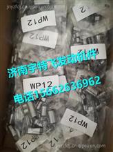 612630050015 Weichai WP12 full truck cylindrical pin612630050015