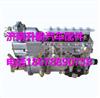 BB5T1-1111100-493 玉柴BB5T1发动机燃油泵总成/BB5T1-1111100-493