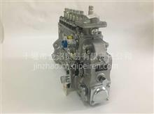 东风康明斯6CTA8.3-C215工程机械高压油泵C4988760