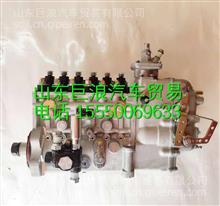 T8100-1111100A-C27玉柴YC6T喷油泵T8100-1111100A-C27