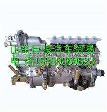  BJ1E1-1111100A-C32玉柴BJ1E1发动机燃油泵总成 BJ1E1-1111100A-C32