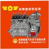 东风天龙天锦大力神东风康明斯发动机配件燃油泵_C5266067/_C5266067