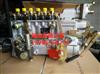 玉柴240动力环保 节油高压柴油泵总成 发动机配件大全