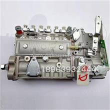 康明斯6BT5.9发动机燃油泵3976801