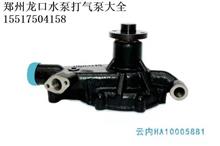 云内原厂水泵 YN33CRD-140020 YN33CRD HA10005881郑州水泵打气泵大全