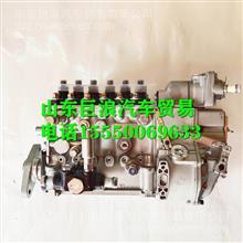 M3015-1111100-C27玉柴YC6M喷油泵M3015-1111100-C27