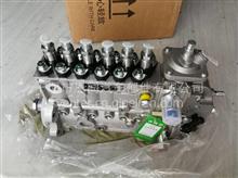 雷沃动力6缸燃油泵T832080161 T832080166 T832080170 T832080172T832080165 T63211926高压油泵