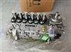 雷沃动力6缸燃油泵T832080161 T832080166 T832080170 T832080172 T832080165 T63211926高压油泵