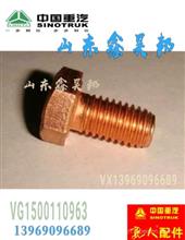 VG1500110963中国重汽豪沃发动机耐热螺栓耐热螺丝VG1500110963