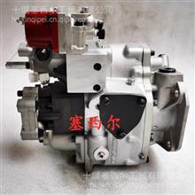 优势供应适用于CCEC重庆康明斯K3007-120T发动机配件PT燃油泵总成3074843