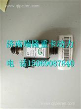 WG1034121181+005重汽国四尿素泵电机WG1034121181+005