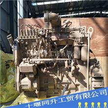 原厂原装康明斯发动机配件齿轮泵从动轴175865齿轮泵从动轴 175865 