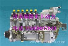 VG1557080050中国国重汽杭发EGR喷油泵总成VG1557080050
