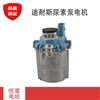 迪耐斯T69L0尿素泵泵内电机适用于国五雷诺450马力尿素泵电机/柴油电喷配件
