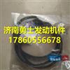 YC80-SPA-1635A玉柴原装发电机皮带/YC80-SPA-1635A