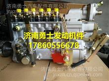 F7400-1111100A-172 玉柴喷油泵F7400-1111100A-172 