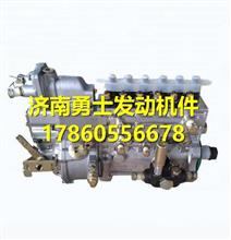 玉柴M7QG2发动机燃油泵总成 M7QG2-1111100M7QG2-1111100