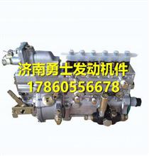 玉柴M8500发动机燃油泵总成 M8500-1111100-C27M8500-1111100-C27