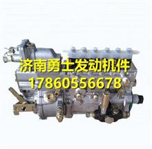 玉柴G4600发动机燃油泵总成 G4600-1111050 G4600-1111050