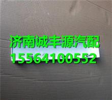 陕汽德龙F3000踏板防滑板装饰条DZ13241240422DZ13241240422