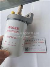迪耐斯尿素泵油气滤芯总成1205610-TF980