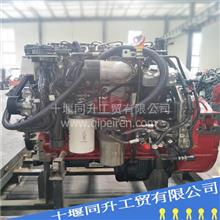 福田康明斯ISF3.8发动机零配件平垫圈3035177平垫圈3035177