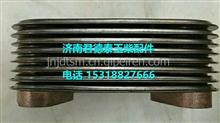 D30-1013013玉柴4108机油冷却器芯D30-1013013
