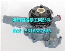 M1200-1307100C玉柴6M水泵M1200-1307100C