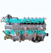 M8500-1111100-C27玉柴M8500发动机燃油泵总成 M8500-1111100-C27