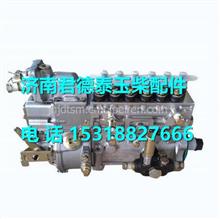  M7300-1111100-C27玉柴M7300发动机燃油泵总成 M7300-1111100-C27
