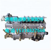  G4600-1111050玉柴G4600发动机燃油泵总成 G4600-1111050