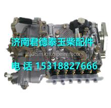  C5300-1111100E-C27玉柴C5300发动机燃油泵总成 C5300-1111100E-C27
