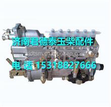M8000-1111100A-C27玉柴M8000发动机燃油泵总成 M8000-1111100A-C27