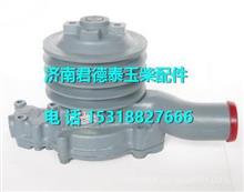 玉柴水泵E0208-1307020E0208-1307020
