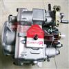 康明斯6c8.3发动机燃油泵4915043-20 NT855柴油泵