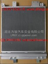 三环昊龙空调冷凝器总成8105010-C1101