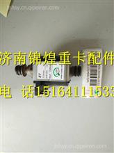重汽国四尿素泵电机WG1034121181+005