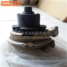 上海水泵厂 海水泵3074540 微型潜水泵3074540