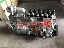 中国重汽D12高压油泵总成VG1560080023
