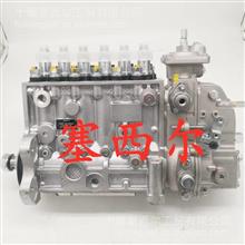 适用于工程机械燃油泵总成3926887康明斯燃油泵总成40635360402066729