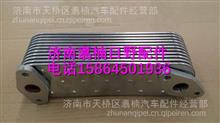 15700E0E10上海日野p11c发动机机油冷却器芯片15700E0E10