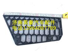LG1611230305中国重汽HOWO轻卡上车踏板（防滑板）LG1611230305
