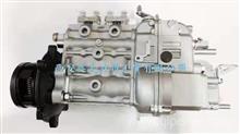 原装威孚油泵总成4PL1121 原装正品 优势批发CA4100