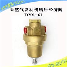 天然气气瓶经济阀DYS-6L增压阀天然气发动机汽车配件DYS-6L