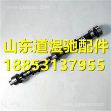 扬柴原厂凸轮轴偏心轴 YZ4102Q1-05101A YZ4102Q1-05101A