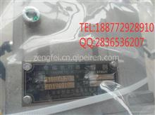 【A1000C-W-d1】上海孚创动力电器电子调速器电磁执行器A1000C-WA1000C-W-d1上海电磁执行器