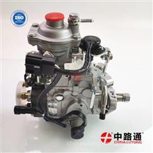 柴油发动机 (6BT 欧0 VE泵)